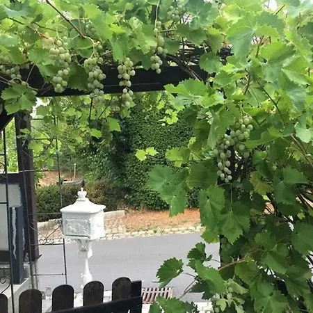 Ferienwohnung Kleiner Kalle Melsungen Buitenkant foto